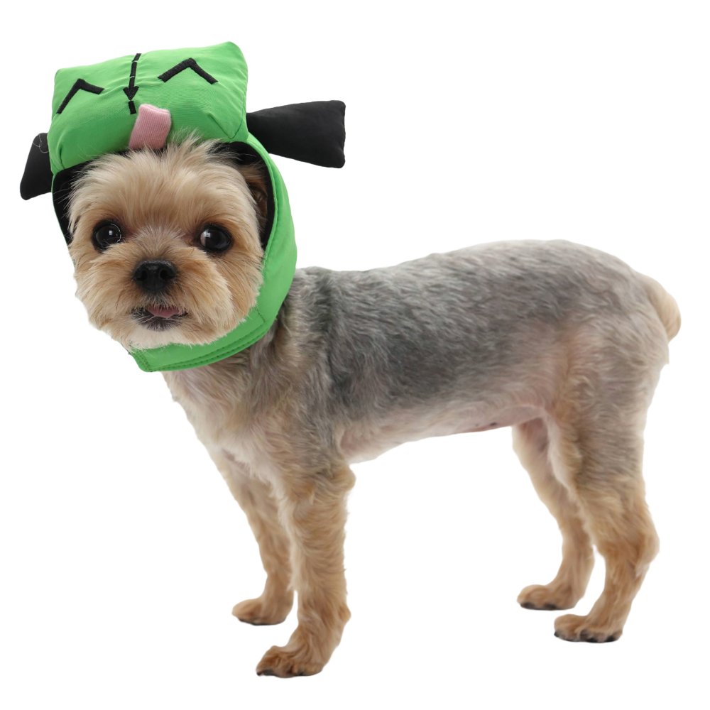 dogo